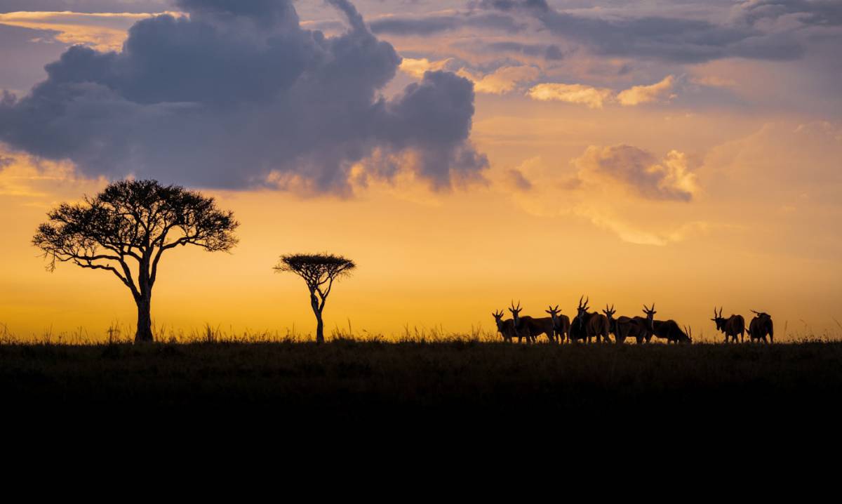 Morondava – Antananarivo – Salida